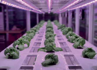 vertical_farming